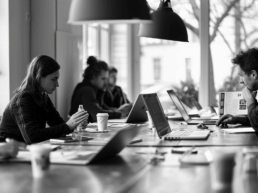 Team Startup Insider